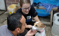 Volunteer at PETA