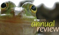 PETA’s 2013 Annual Review