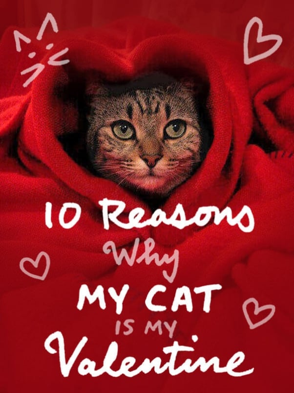 peta-living-cat-valentine-graphic-v1