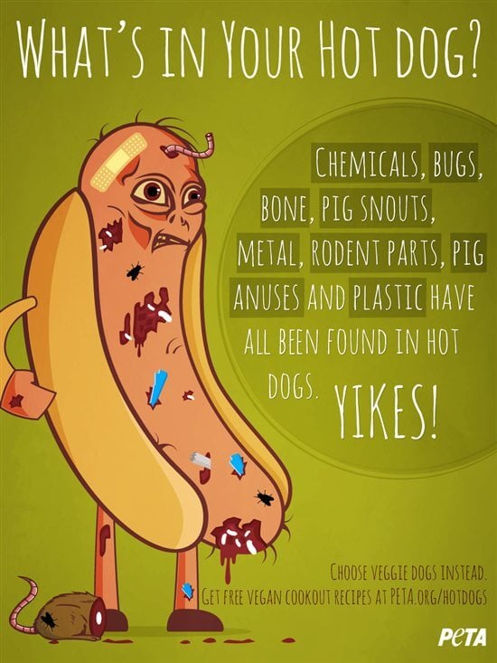 What is in a hot dog?