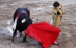 Victory: Coahuila Bans Bullfighting!