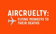 Air Cruelty