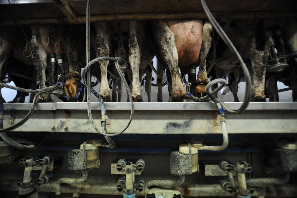 Milking Machines