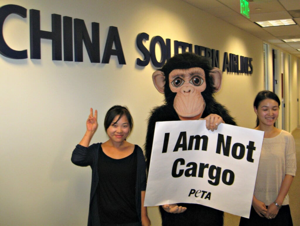 China Southern Demonstração no LAX