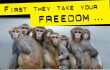 NIH: First They Take Your Freedom