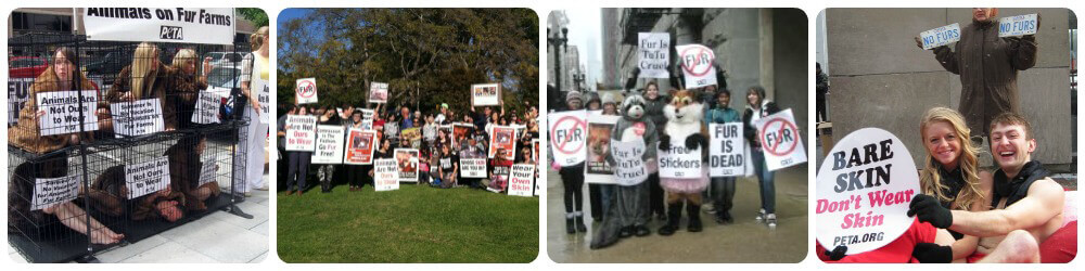 fur free collage