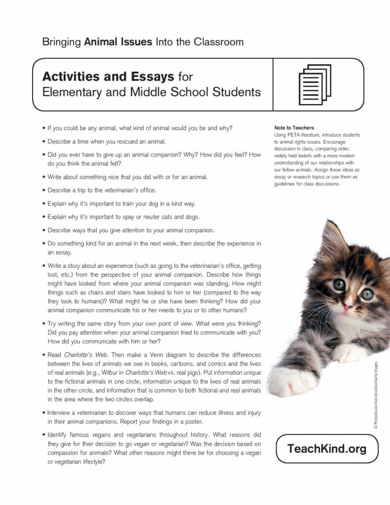 Cruelty to animals Essays Cruelty to animals Essays