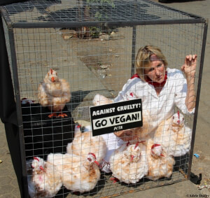 Ingrid_newkirk_cage_kfc