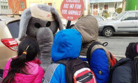Schoolchildren Get a Lesson About Circus Cruelty