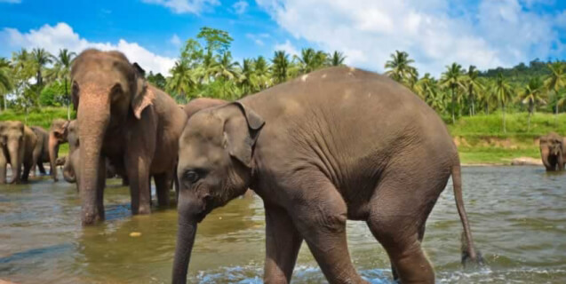 TripAdvisor Garners Rave Reviews for New Ethical Policies