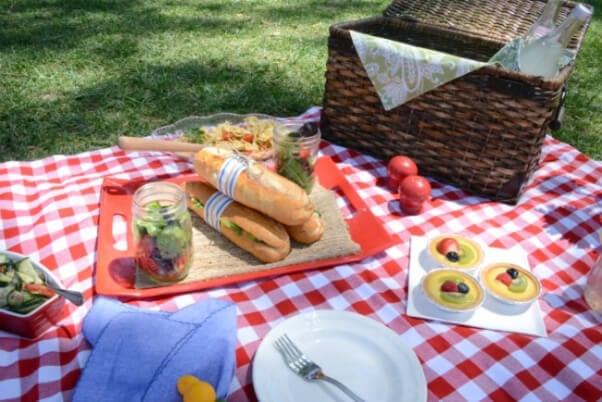 Picnic2