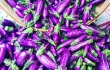 fairytale eggplant purple fairy egg veggie vegetable