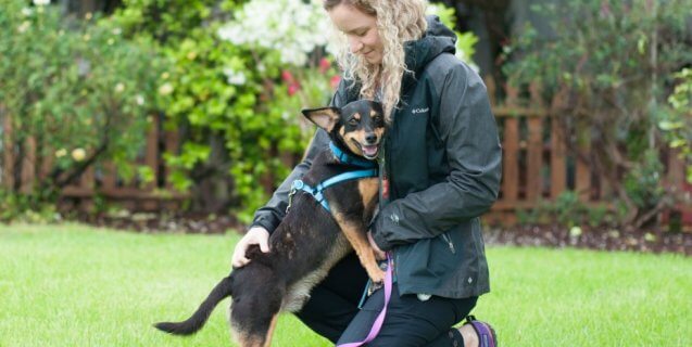 Meet PETA’s Rescue Team and the Animals They Help