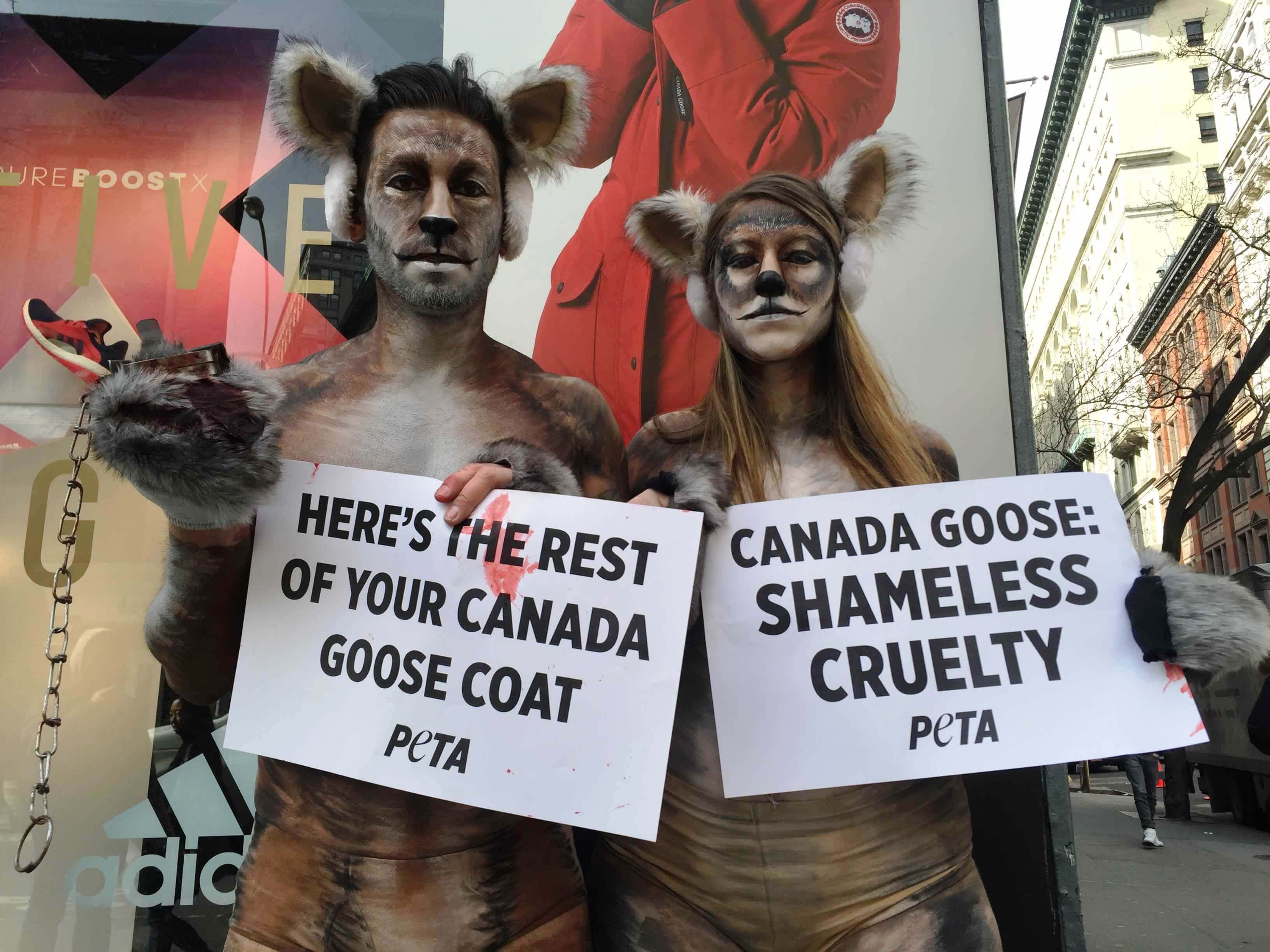 Canada Goose chateau parka online 2016 - Two 'Coyotes' on Broadway Cause Shoppers to Do a Double Take ...