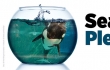 SeaWorld Kills