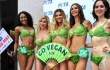 Turning Heads: ‘Lettuce Ladies’ Are Just the Tip of the Iceberg