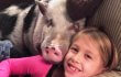 VIDEO: Abused Pig Cuddling With New Family Will Melt Your Heart