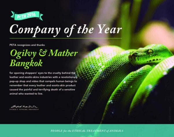 PETA 2016 Company of the Year certificate