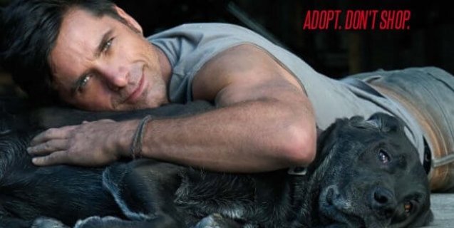 Sexy John Stamos Is Not Afraid of Commitment