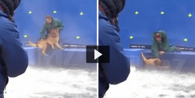 Being Terrified on Set Is NOT ‘A Dog’s Purpose’