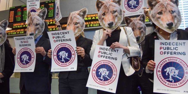 Fur Flies as Protesters Gather at Canada Goose’s Initial Public Offering