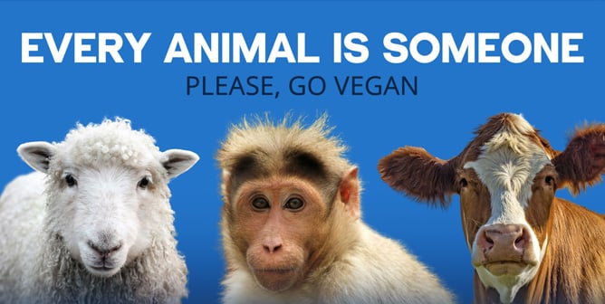 A sheep, monkey, and cow with Every Animal Is Someone Please, Go Vegan text overlay