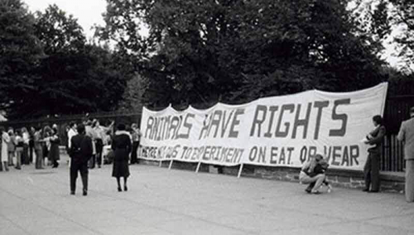 PETA’s Milestones for Animals