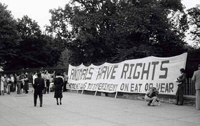 1980 – PETA is Formed