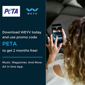 Veestro coupon code