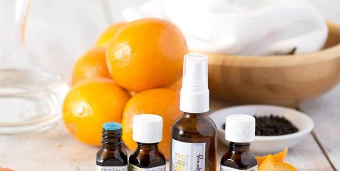 Top 10 Cruelty-Free Products to Stock Your Desk With