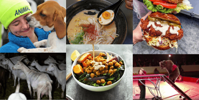 PETA Has a Top 10 List for Everything, Even Top 10 Lists