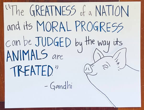 PETA Honors Gandhi's Lifelong Commitment to Animal Liberation | PETA