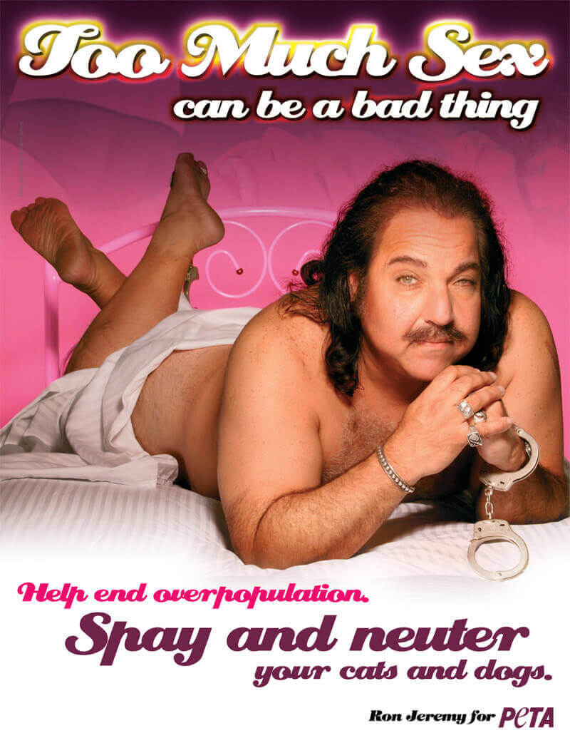 Explore the wildest shots of ron jeremy in gay action. image