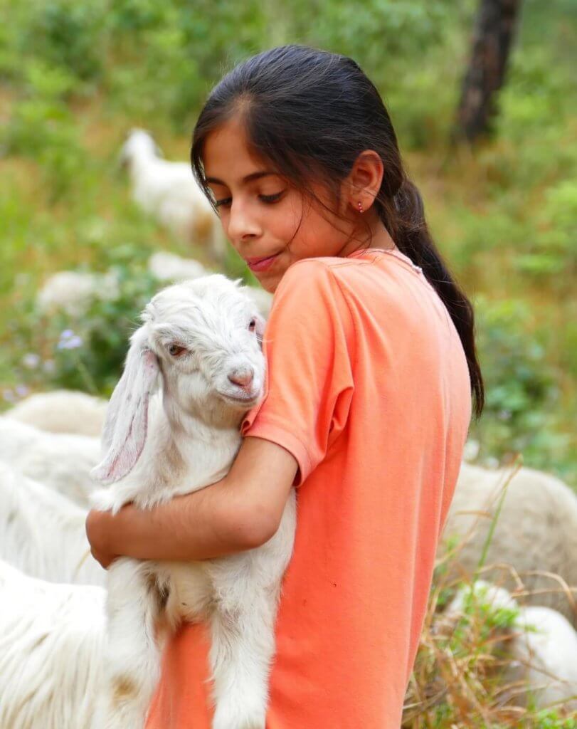 child with lamb