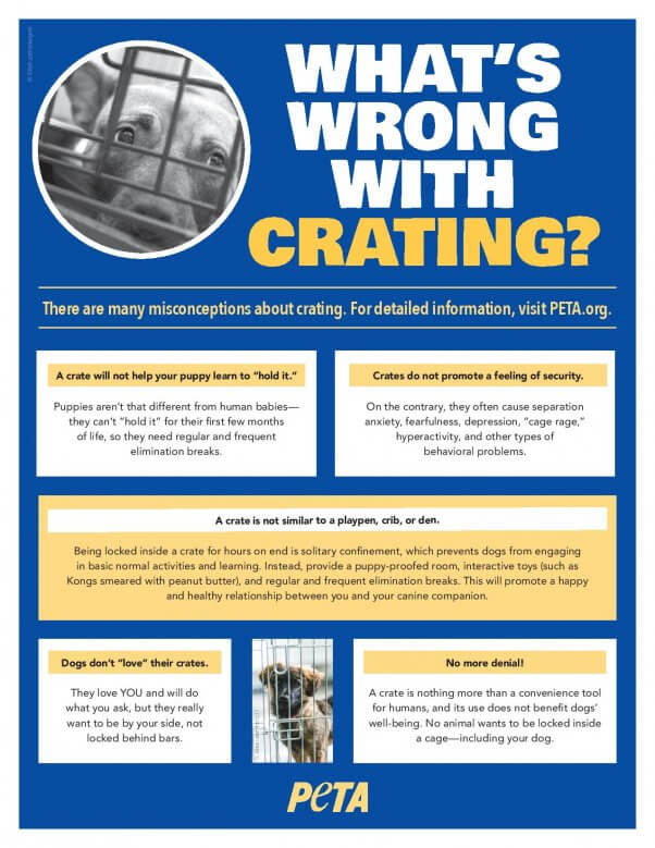 Crating Dogs | PETA