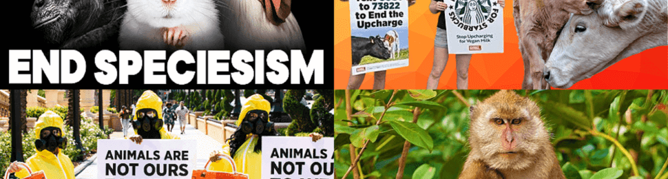 Sign Up for PETA's Email Newsletters | PETA