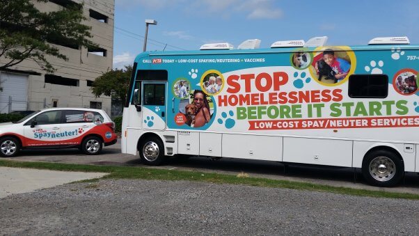PETA's Spay/Neuter Services for Your Dog or Cat | PETA