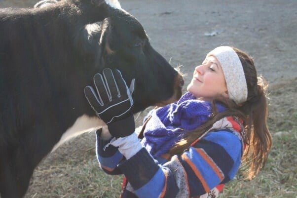 Person Kissing Cow