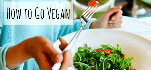 VSK How to Go Vegan Button