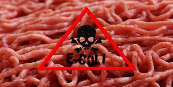 Meat Contamination