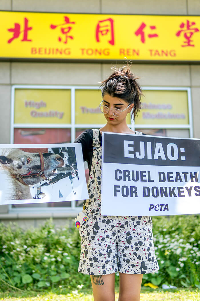 Everyday Activism | PETA