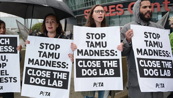 peta protest lunes dies texas a&m dog lab