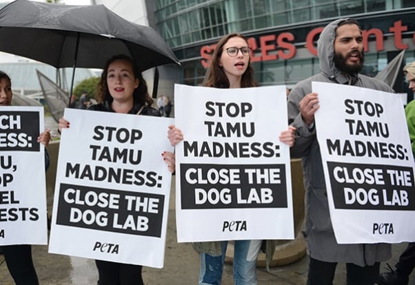 peta protest lunes dies texas a&m dog lab