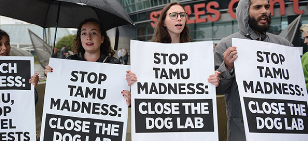 peta protest lunes dies texas a&m dog lab