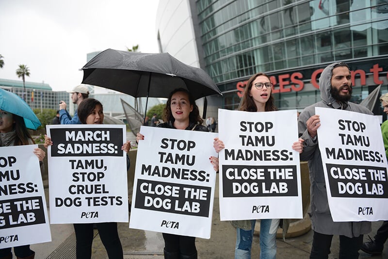 peta protest lunes dies texas a&m dog lab