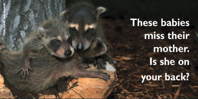 These Babies Miss Their Mothers PSA