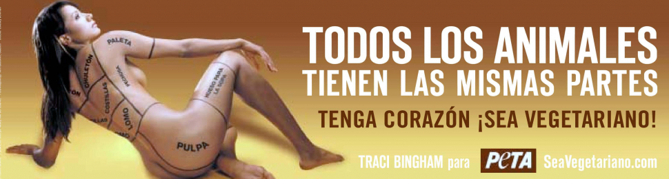 Traci Bingham: Todos los animales tienen las mismas partes