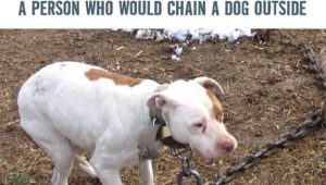 Cold: A Person Who Would Chain a Dog Outside