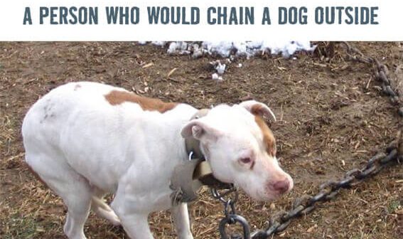 COLD: A PERSON WHO WOULD CHAIN A DOG OUTSIDE PSA