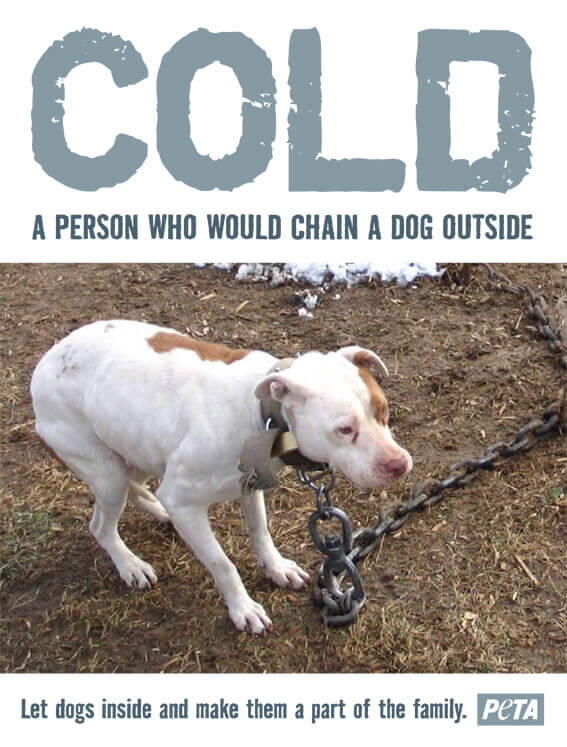 COLD: A PERSON WHO WOULD CHAIN A DOG OUTSIDE PSA